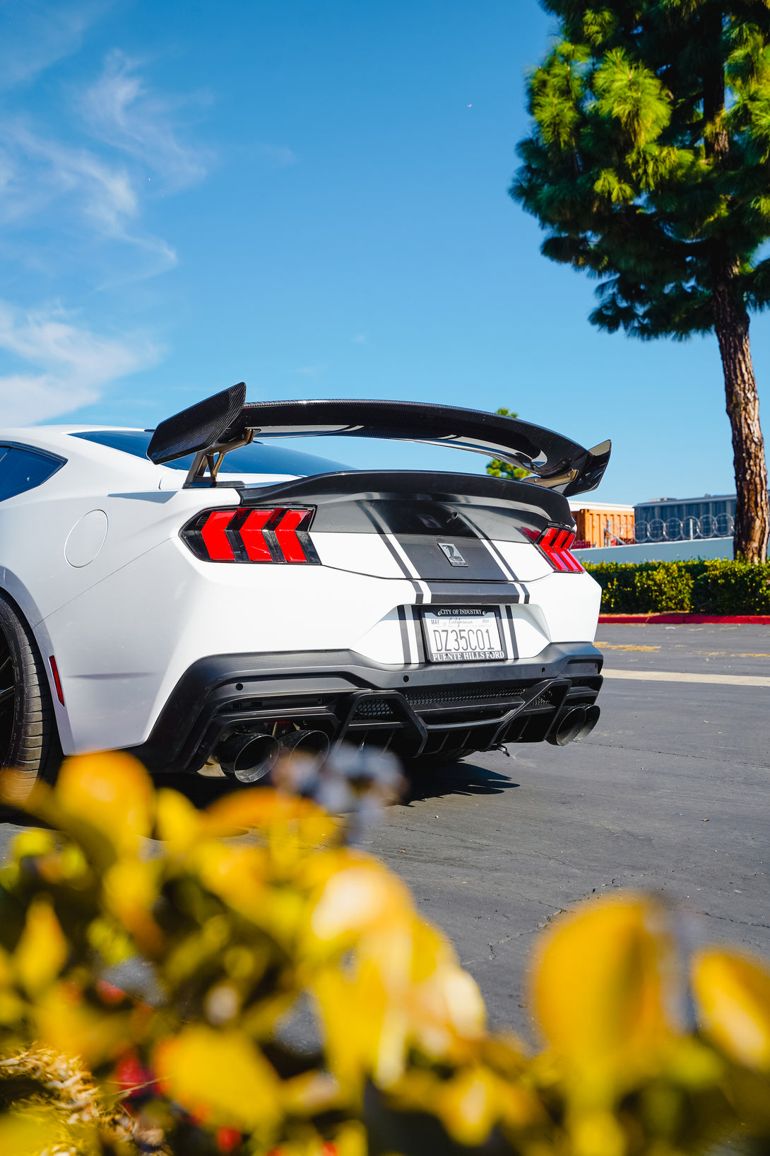 Super Snake R Rear Wing Ford Mustang Super Snake Rear Wing(S550 & S650) – castblockparts.shop