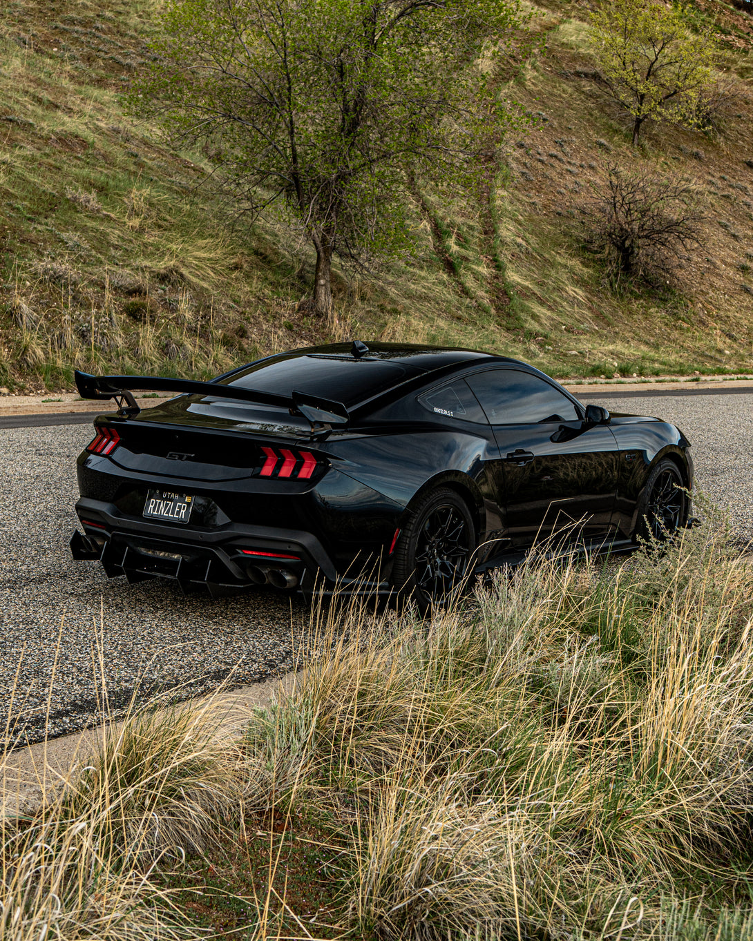 Ford Mustang Super Snake Rear Wing（S550 & S650) – castblockparts.shop